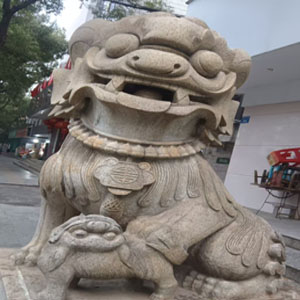 【衡东刘哥】第一次清洗单位的狮子真的有技术